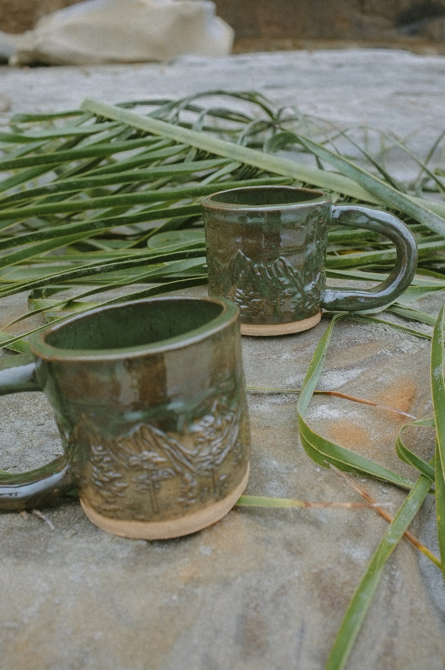 Evergreen Mug